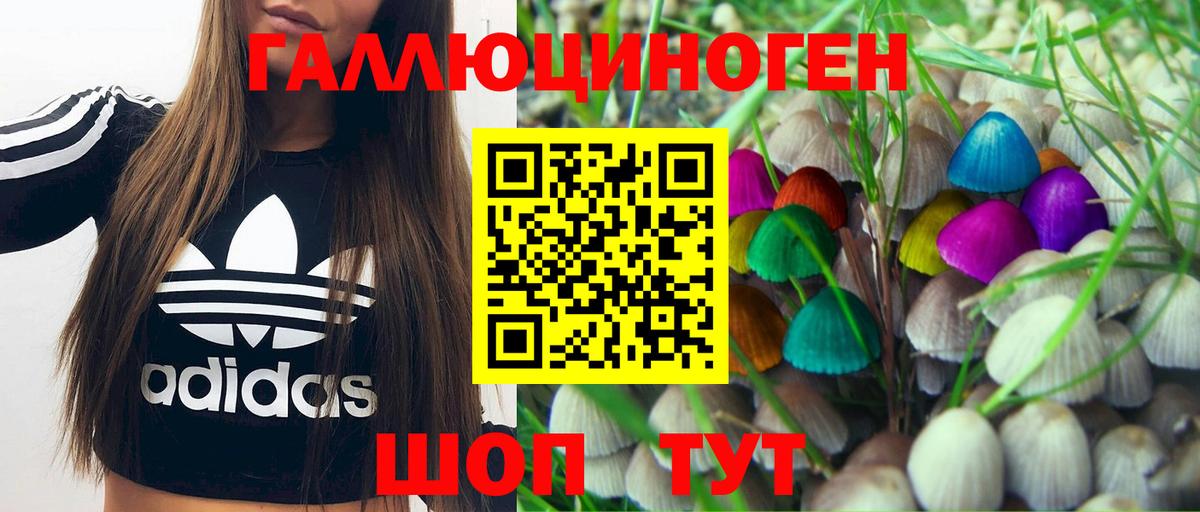 Псилоцибиновые грибы GOLDEN TEACHER  Вход с VPN  Качканар 
