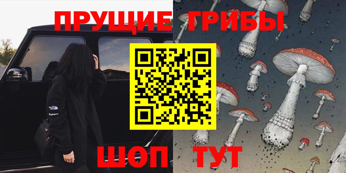 Галлюциногенные грибы прущие грибы Качканар